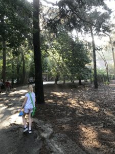 Het 'schoolplein'