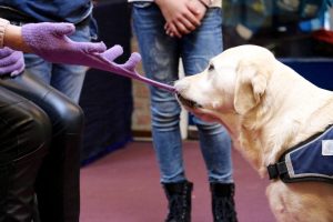 Hulphond Soul trekt behoedzaam een handschoen uit